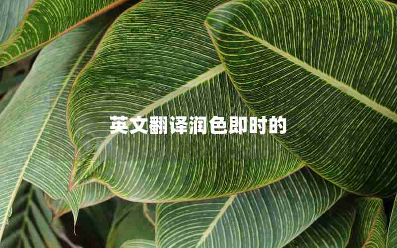 英文翻译润色即时的 英文翻译润色即时的