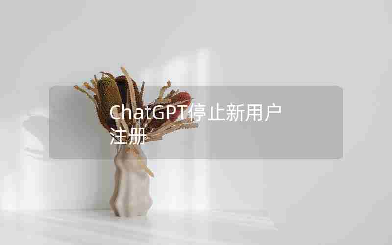 ChatGPT停止新用户注册