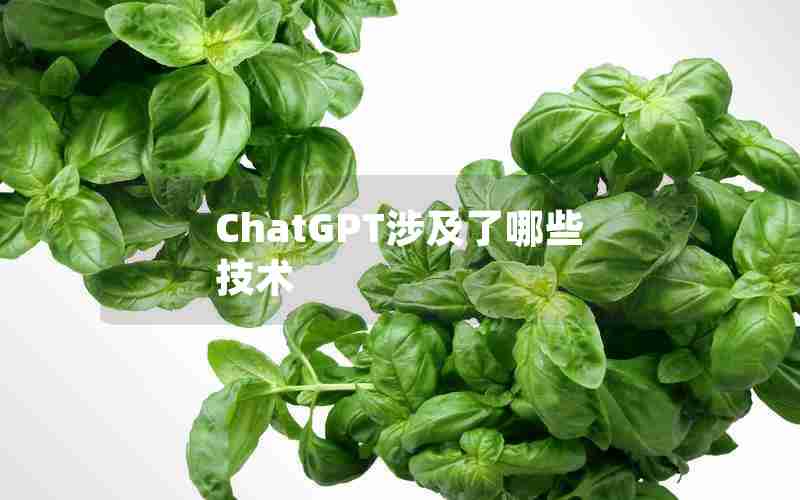 ChatGPT涉及了哪些技术 ChatGPT涉及了哪些技术