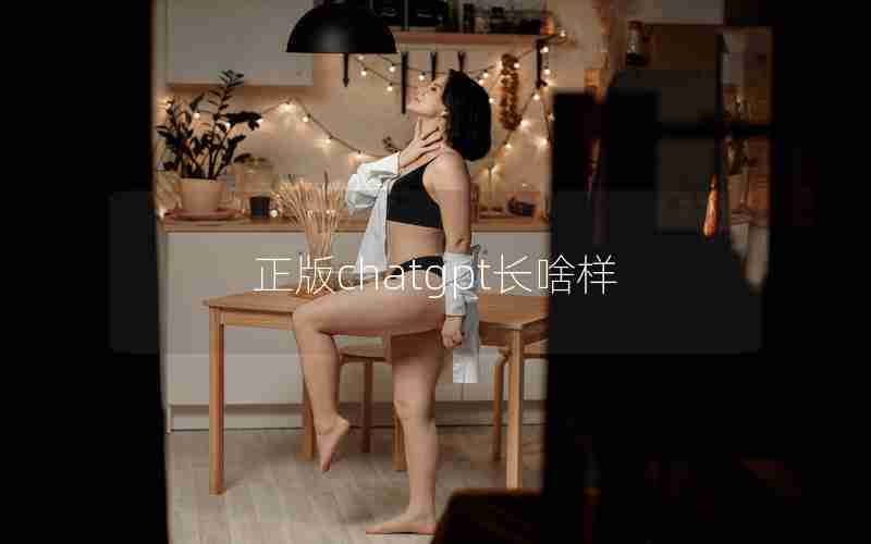 正版chatgpt长啥样
