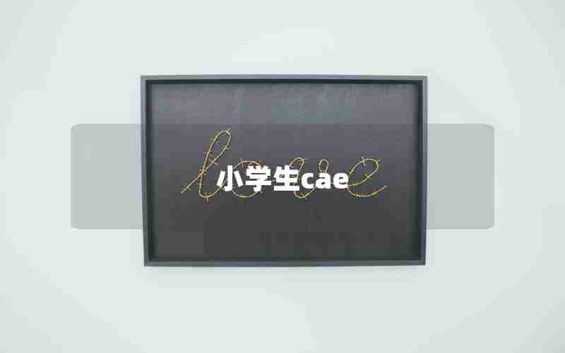 小学生cae 小学生cae