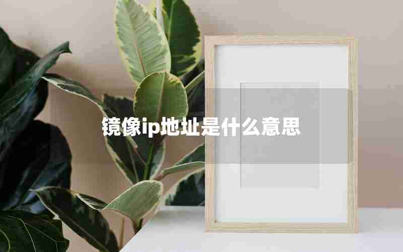 镜像ip地址是什么意思 镜像ip地址是什么意思