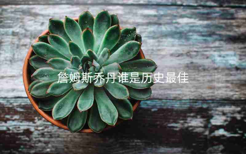 詹姆斯乔丹谁是历史最佳 詹姆斯乔丹谁是历史最佳