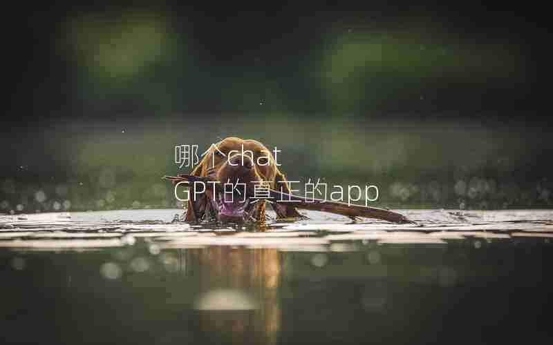 哪个chat GPT的真正的app 哪个chat GPT的真正的app
