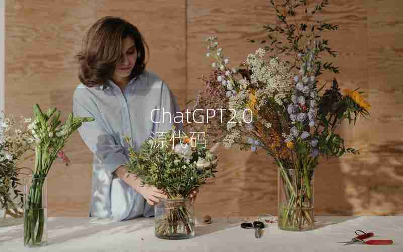 ChatGPT2.0 源代码 ChatGPT2.0 源代码