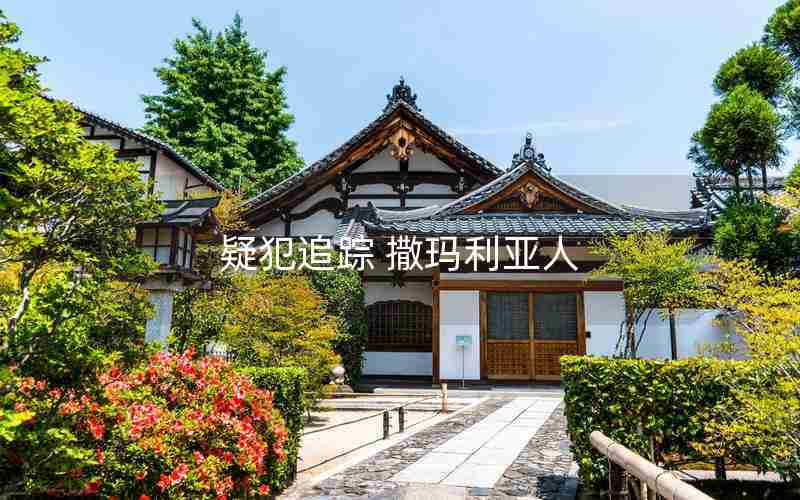 疑犯追踪 撒玛利亚人