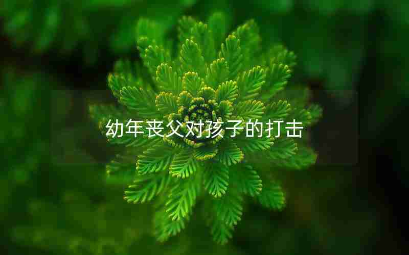 幼年丧父对孩子的打击