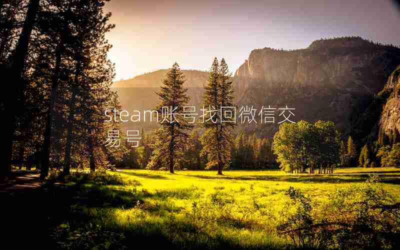 steam账号找回微信交易号