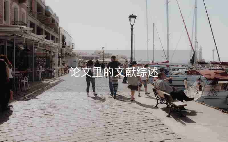 论文里的文献综述 论文里的文献综述