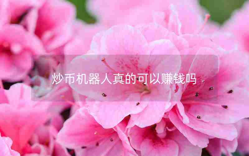 炒币机器人真的可以赚钱吗