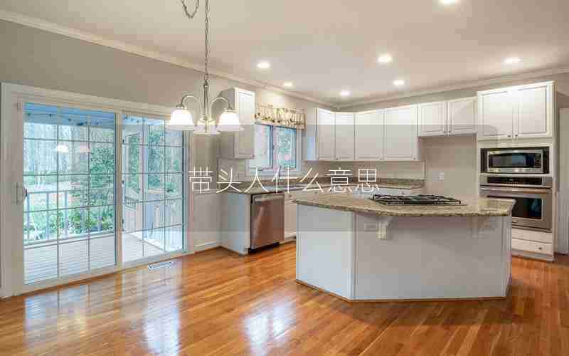 带头人什么意思