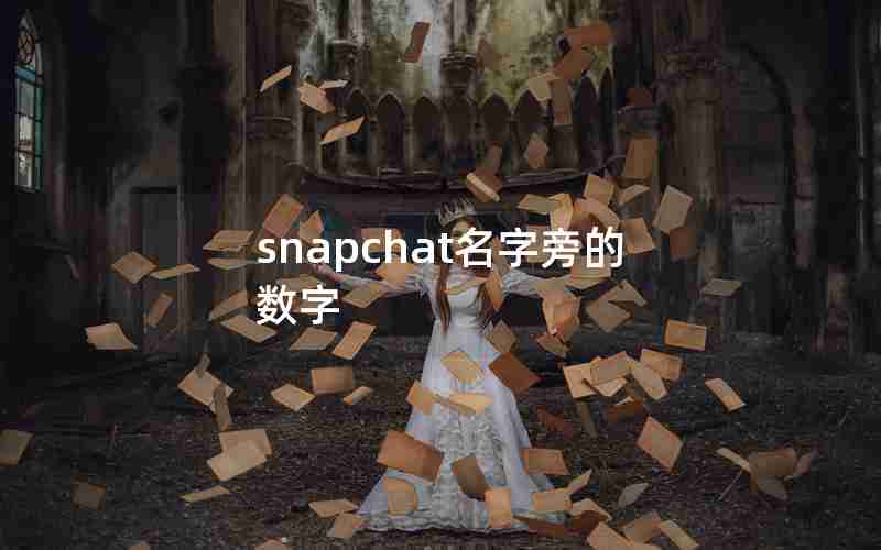 snapchat名字旁的数字