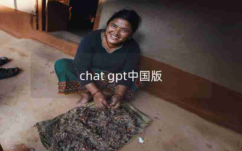 chat gpt中国版