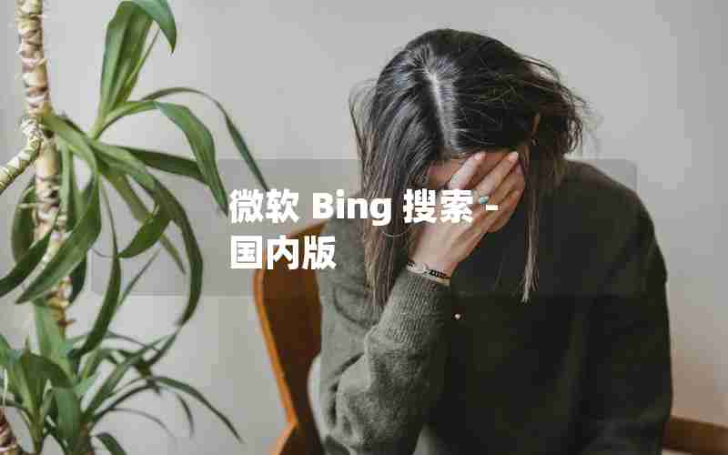 微软 Bing 搜索 - 国内版