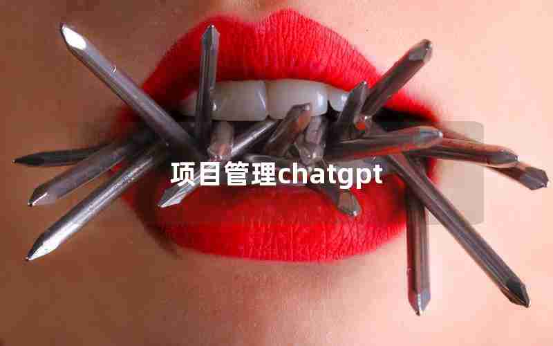 项目管理chatgpt