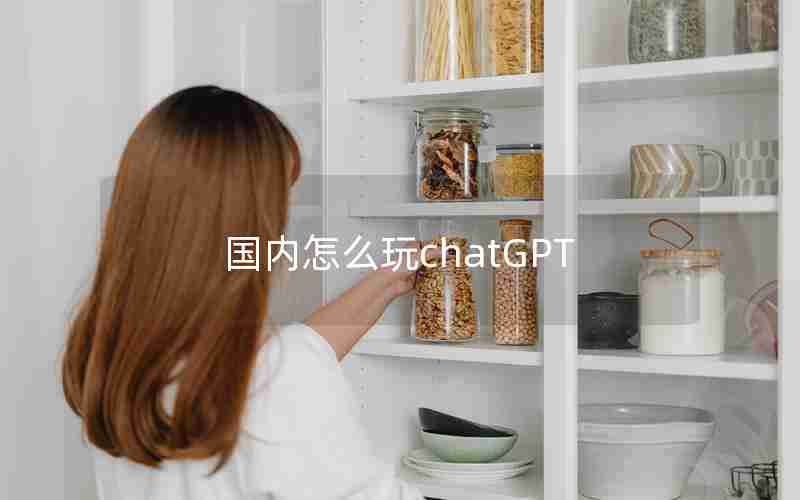 国内怎么玩chatGPT 国内怎么玩chatGPT