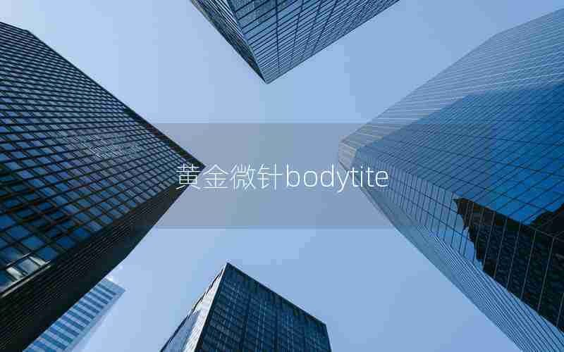 黄金微针bodytite