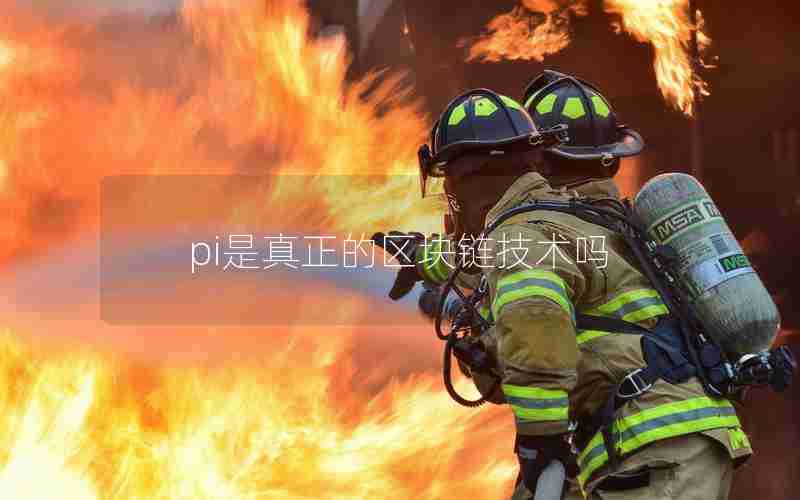 pi是真正的区块链技术吗