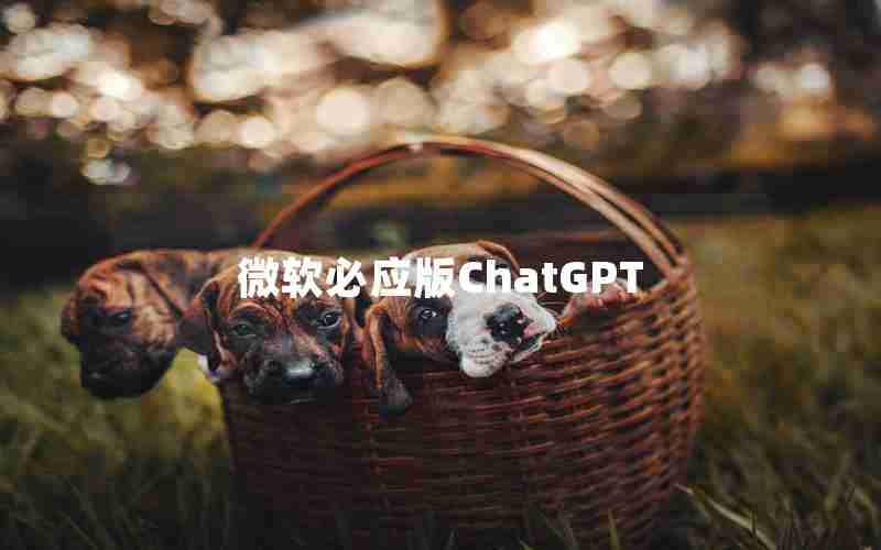 微软必应版ChatGPT