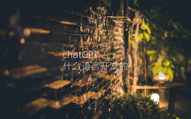 chatGPT 什么语言开发的