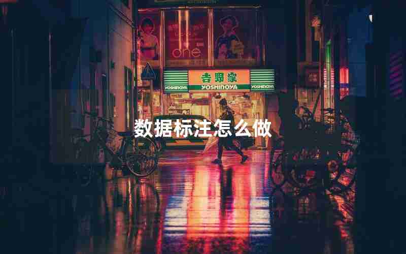数据标注怎么做 数据标注怎么做