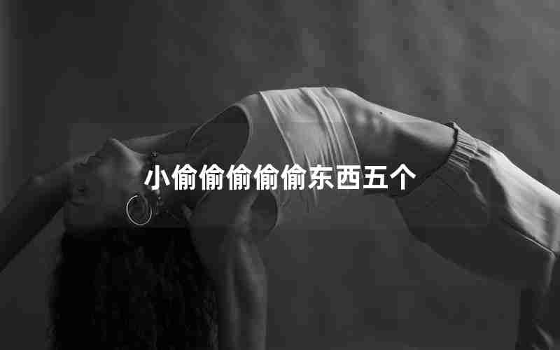 小偷偷偷偷偷东西五个