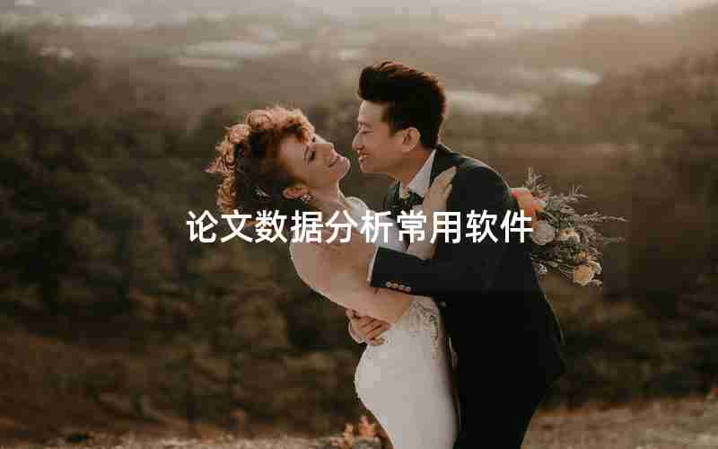 论文数据分析常用软件