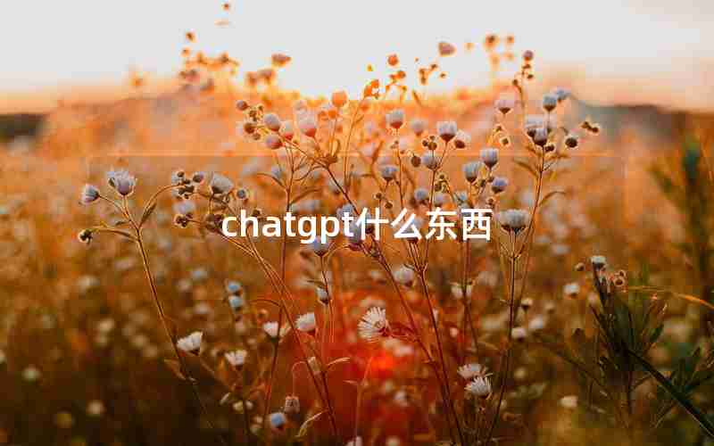 chatgpt什么东西 chatgpt什么东西