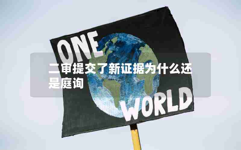 二审提交了新证据为什么还是庭询