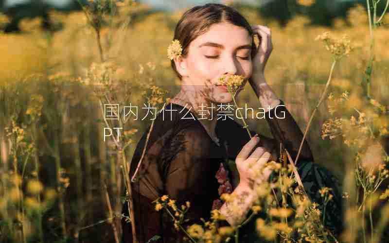国内为什么封禁chatGPT 国内为什么封禁chatGPT
