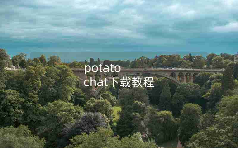 potato chat下载教程 potato chat下载教程