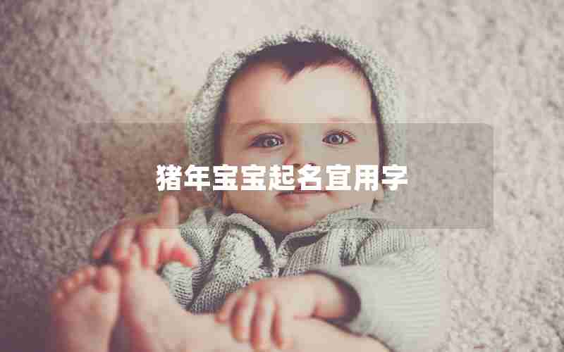 猪年宝宝起名宜用字 猪年宝宝起名宜用字