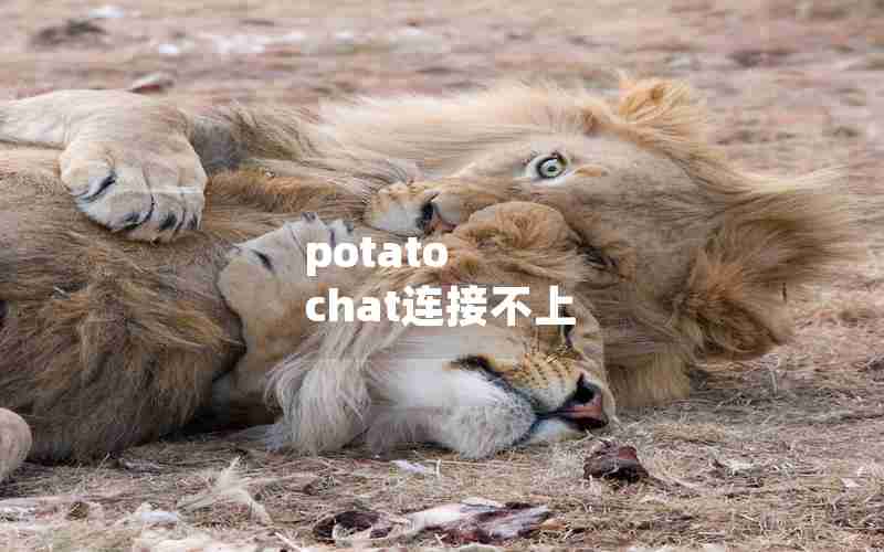 potato chat连接不上