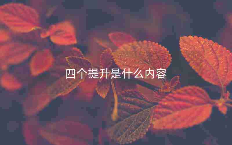 四个提升是什么内容