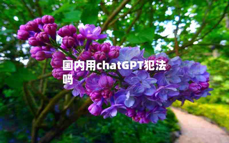 国内用chatGPT犯法吗 国内用chatGPT犯法吗