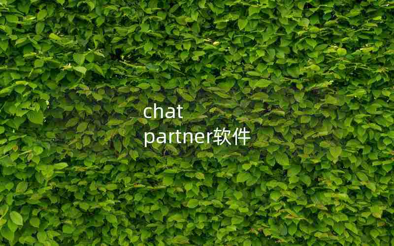 chat partner软件