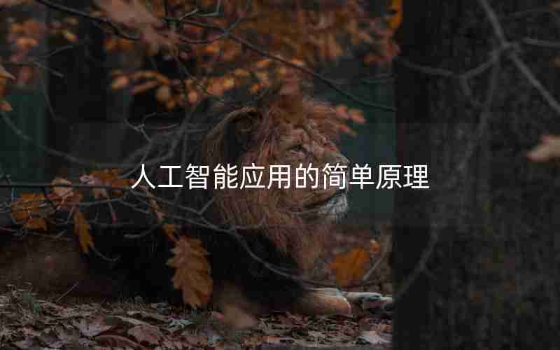 人工智能应用的简单原理 人工智能应用的简单原理