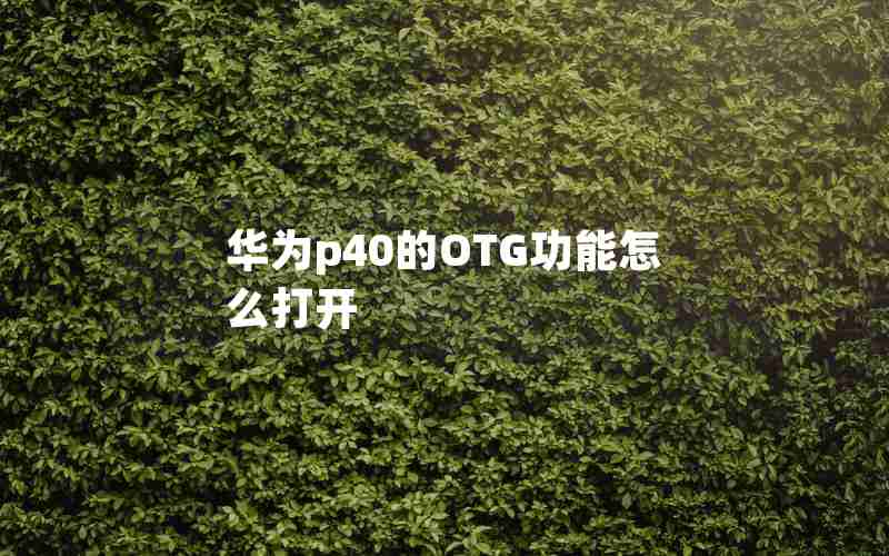 华为p40的OTG功能怎么打开 华为p40的OTG功能怎么打开