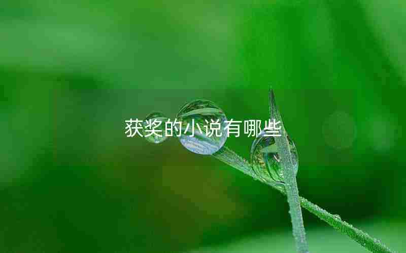 获奖的小说有哪些 获奖的小说有哪些