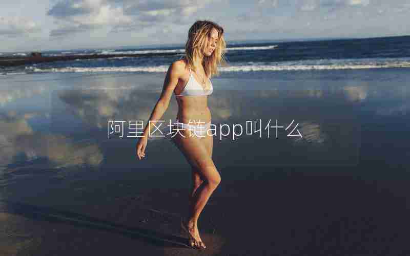 阿里区块链app叫什么