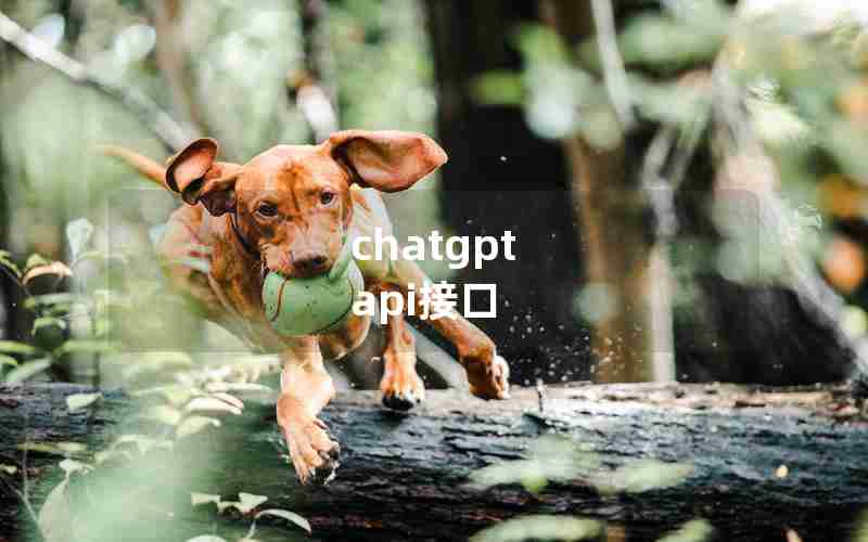 chatgpt api接口