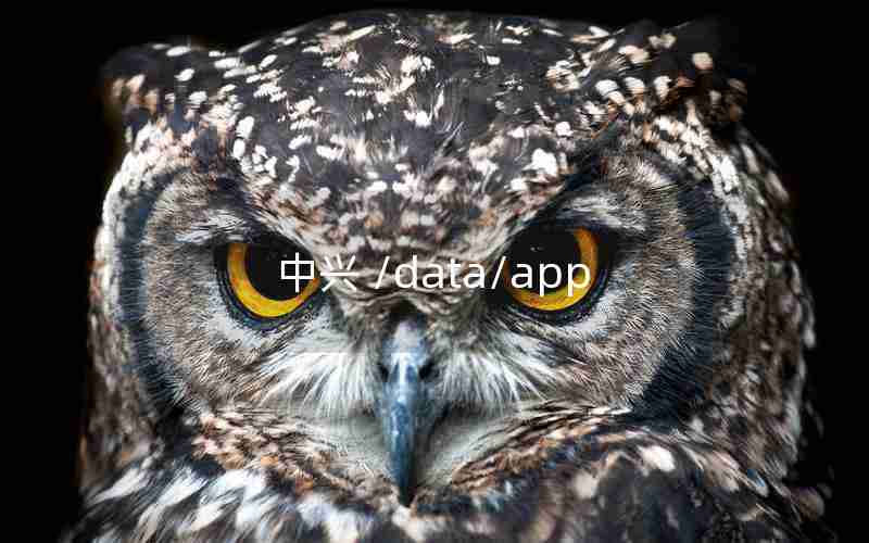 中兴 /data/app