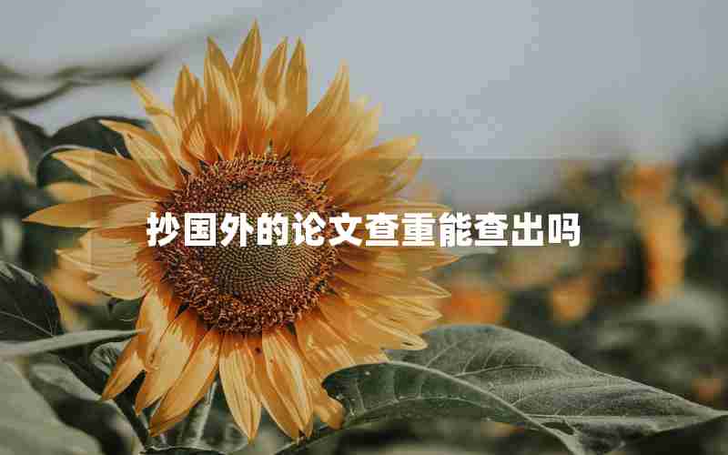 抄国外的论文查重能查出吗 抄国外的论文查重能查出吗