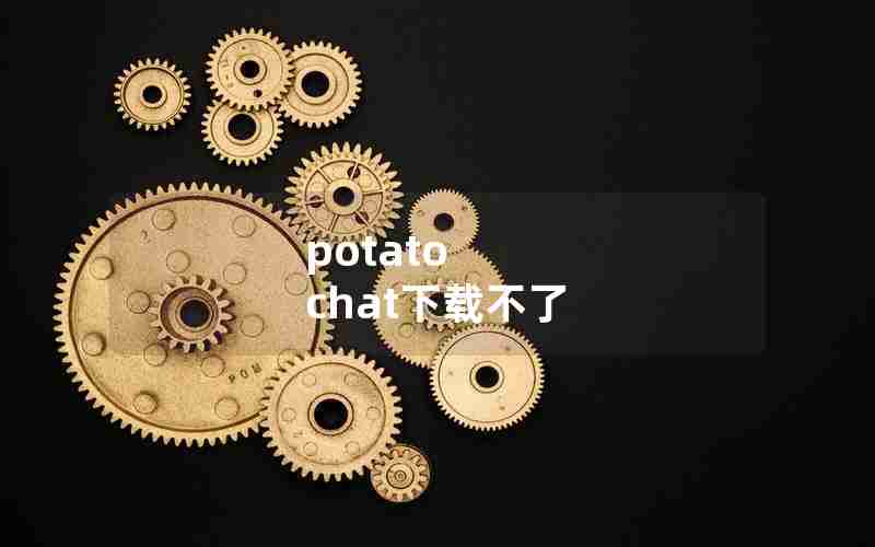 potato chat下载不了