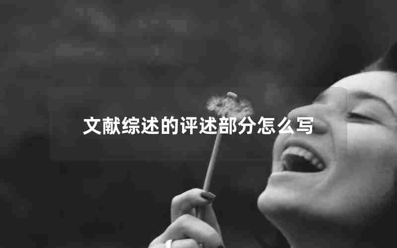 文献综述的评述部分怎么写 文献综述的评述部分怎么写