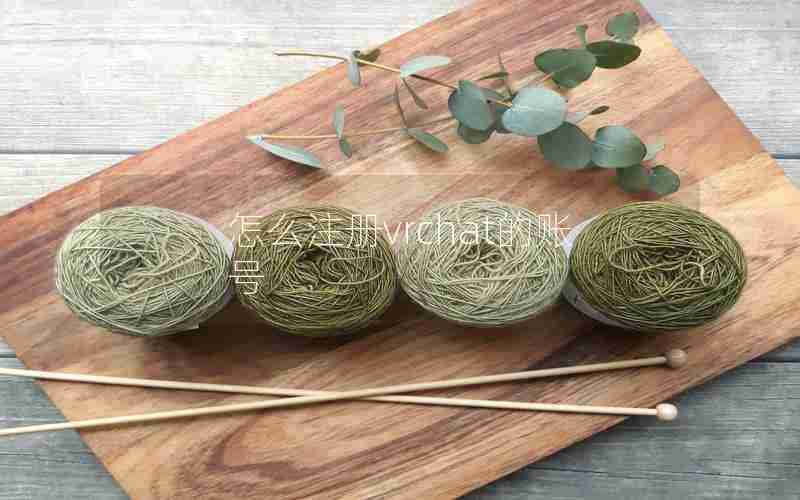 怎么注册vrchat的账号 怎么注册vrchat的账号