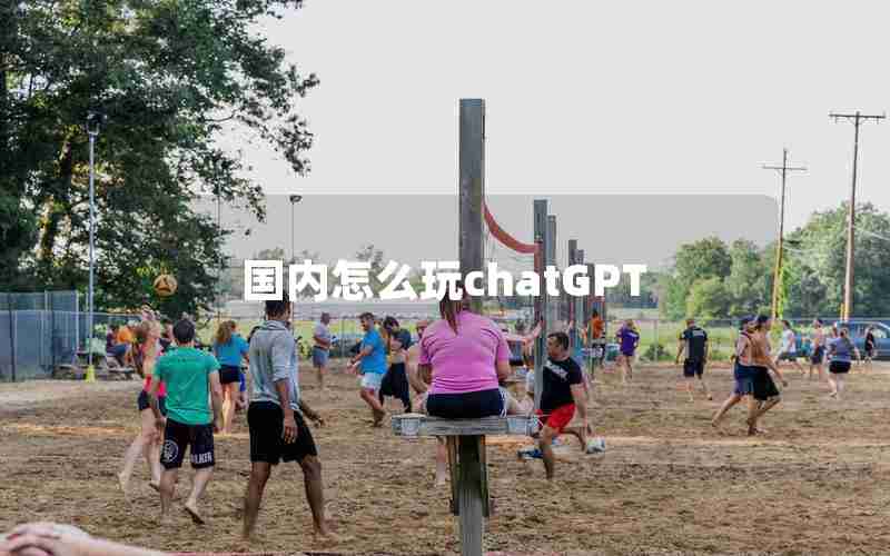 国内怎么玩chatGPT