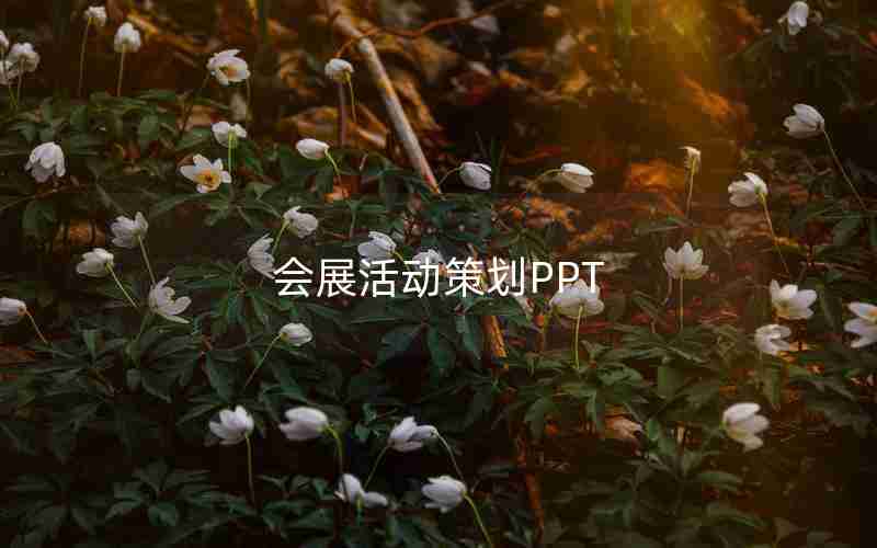 会展活动策划PPT