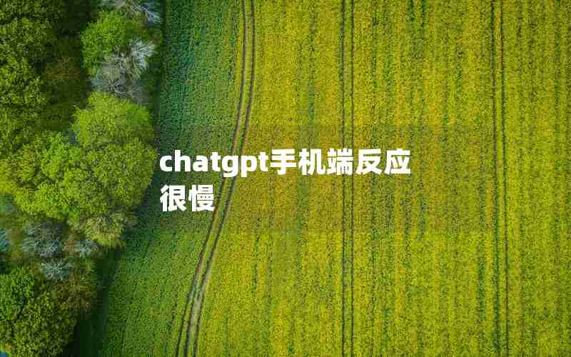 chatgpt手机端反应很慢 chatgpt手机端反应很慢