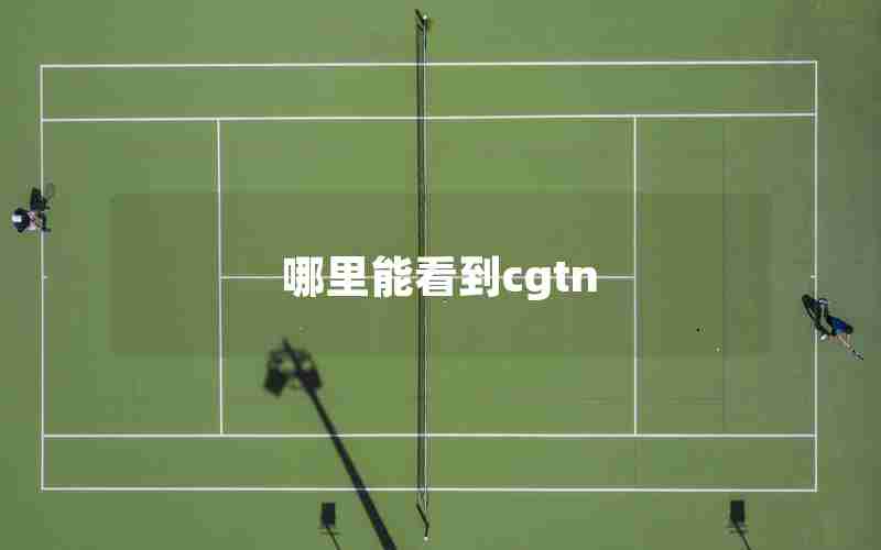 哪里能看到cgtn 哪里能看到cgtn